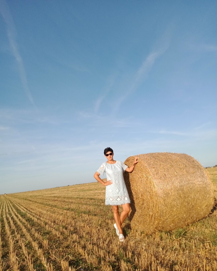 Изображение пшеничное поле в Белоруссии
