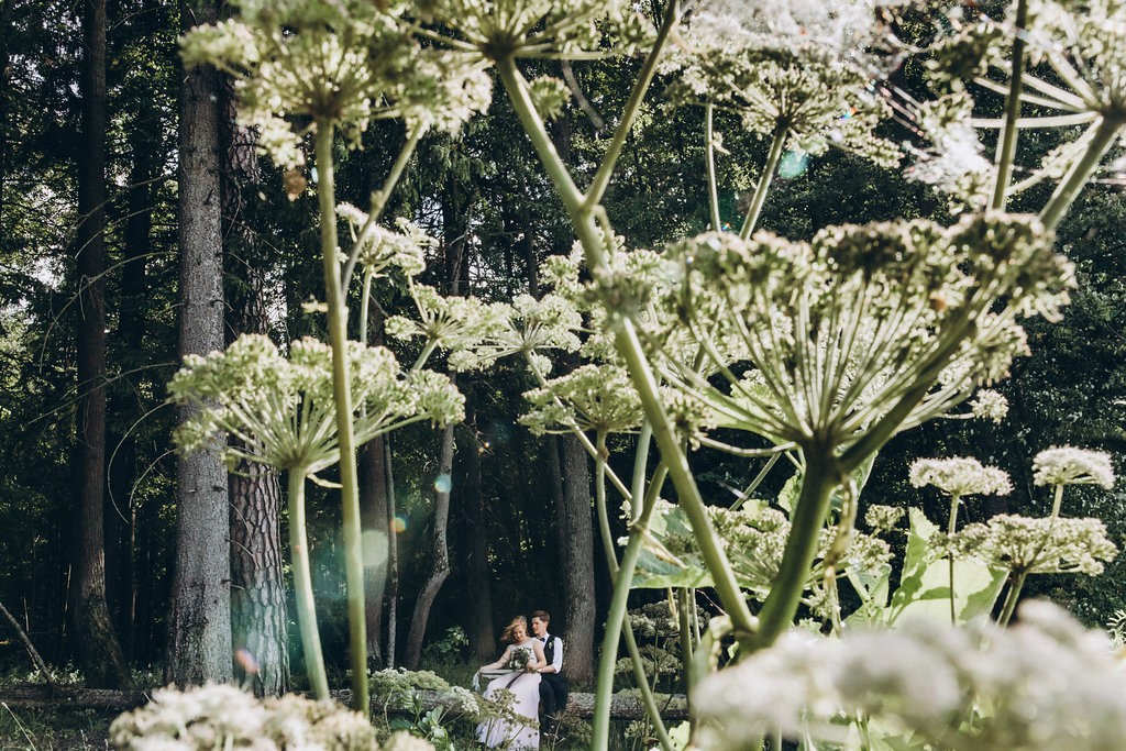 Изображение Духи леса и воды: свадьба Жени и Вити