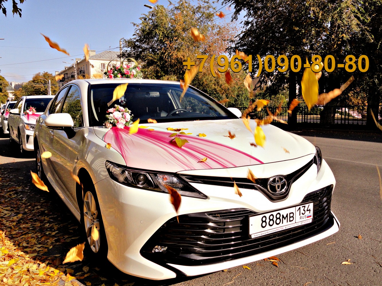 Изображение Свадебный кортеж из новеньких авто Toyota Camry в Волгограде