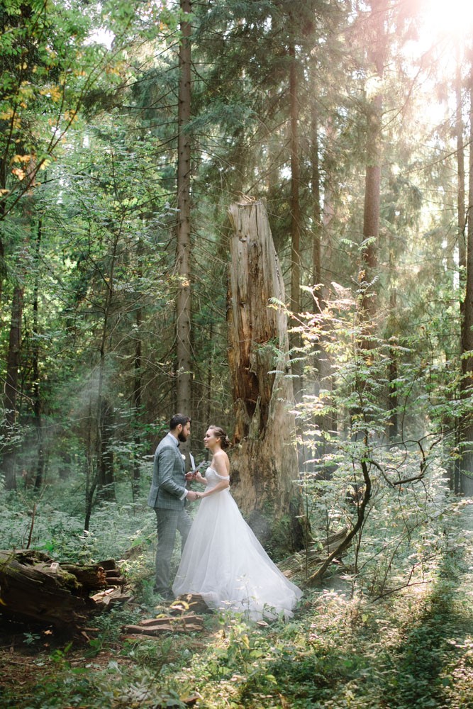 Изображение свадебная фотосессия в лесу