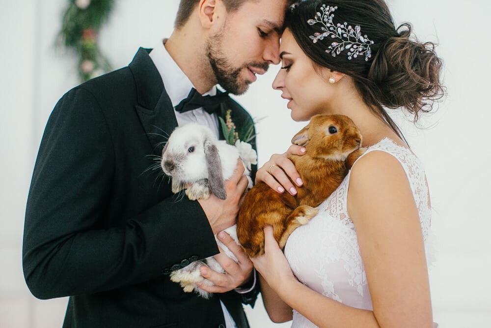 Изображение свадьба с кроликами
