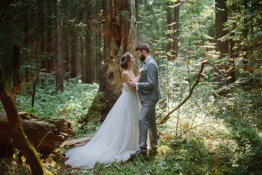 Изображение свадьба в лесу