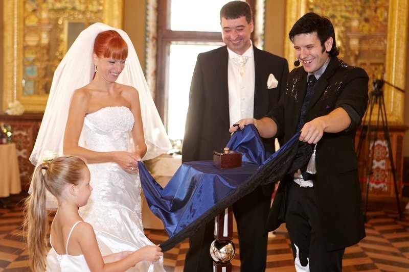 Изображение Свадьба в Воронцовском Дворце