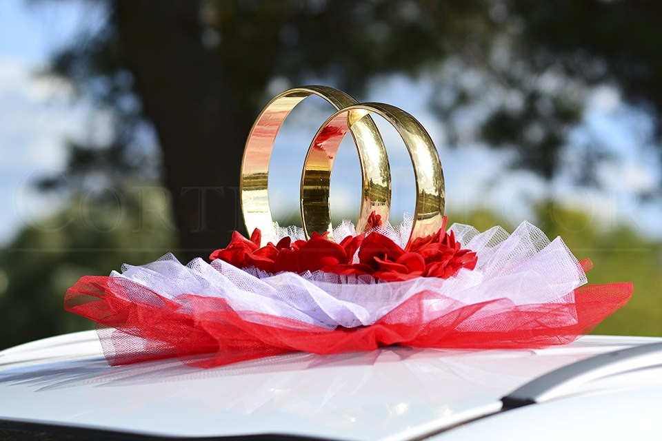 Изображение Свадебные кольца на автомобиль
