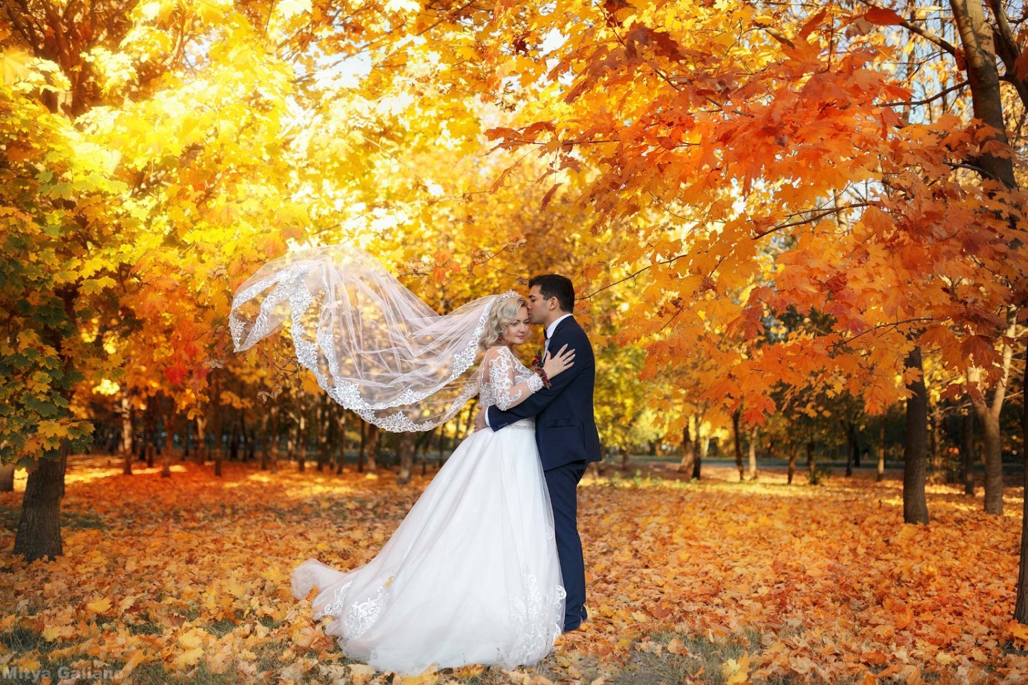 Изображение Autumn wedding