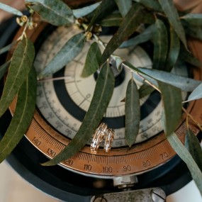 Изображение Свадебная история: Владимир и Ольга